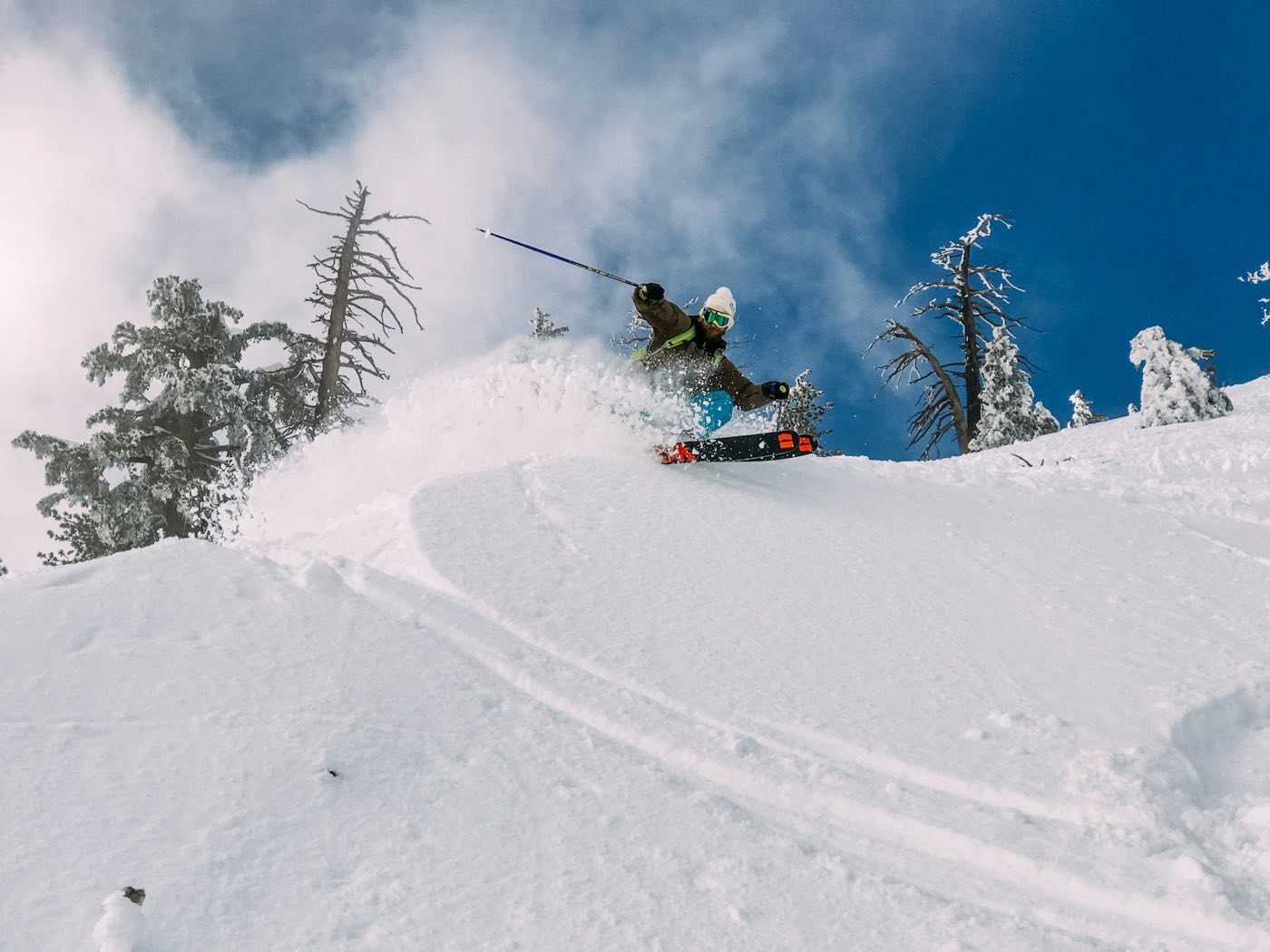 Skier cutting through deep powder between snow-covered trees (stock placeholder)